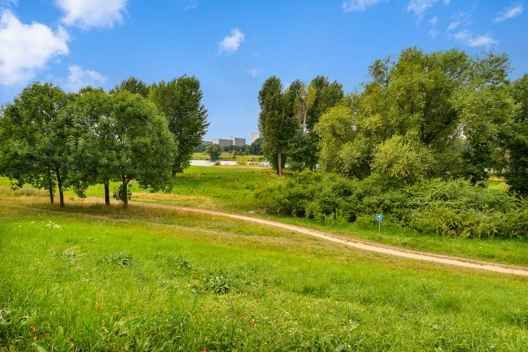 Photo 23 of De Roskam 119