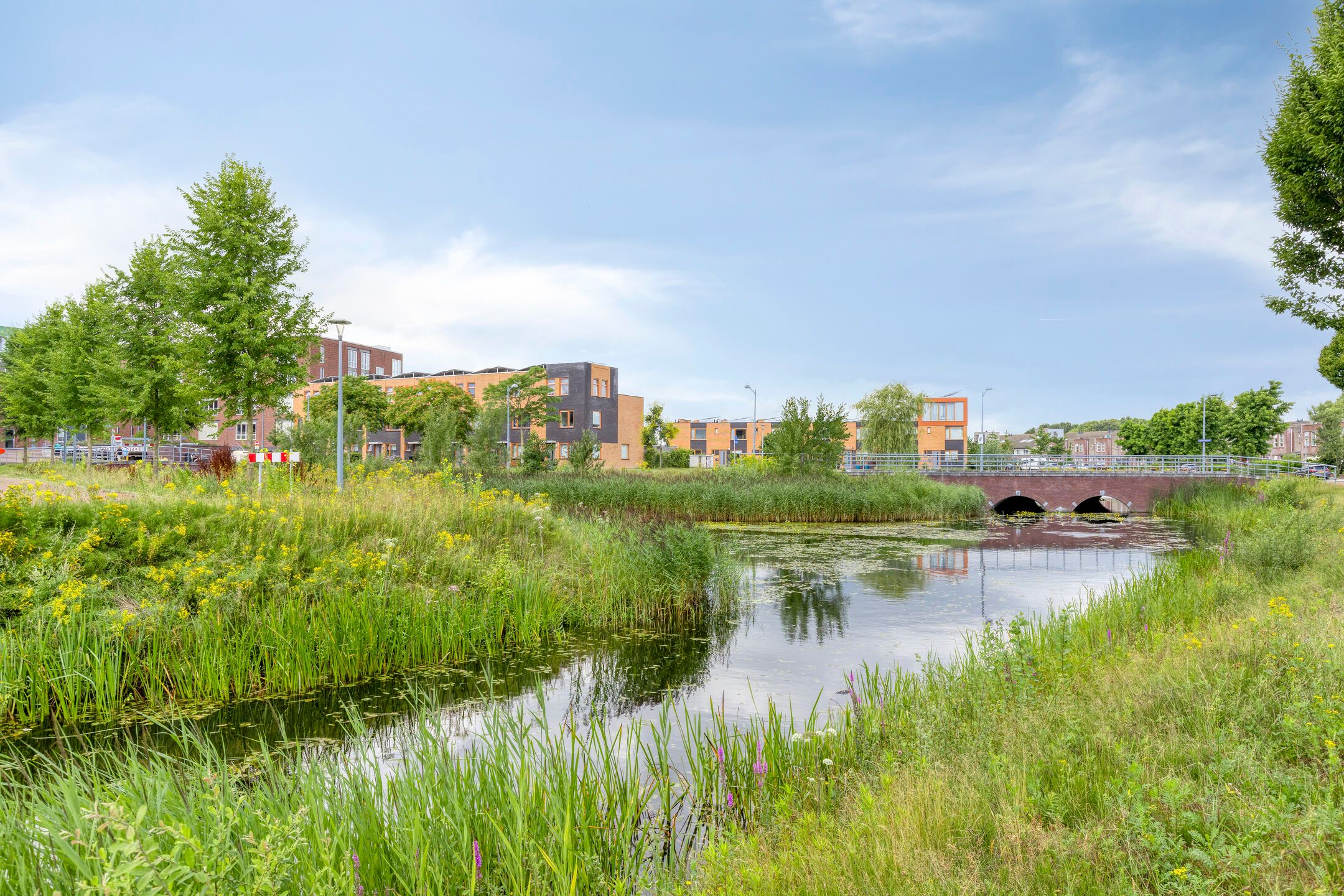 Foto 36 van Vestesingel 84