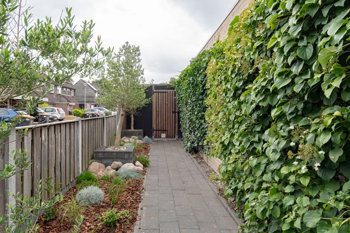 Foto 4 van Eendenveld 90