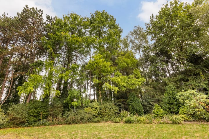 Photo 36 of Isaac Beekmanstraat 12