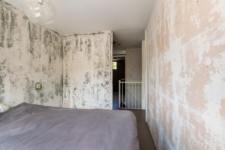 Foto 25 van Van Ravesteyn-erf 255