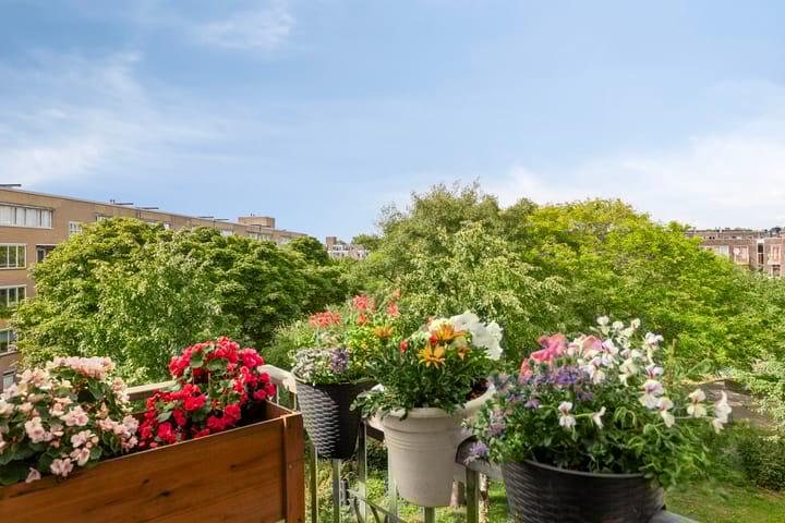 Foto 5 van Boniplein 92