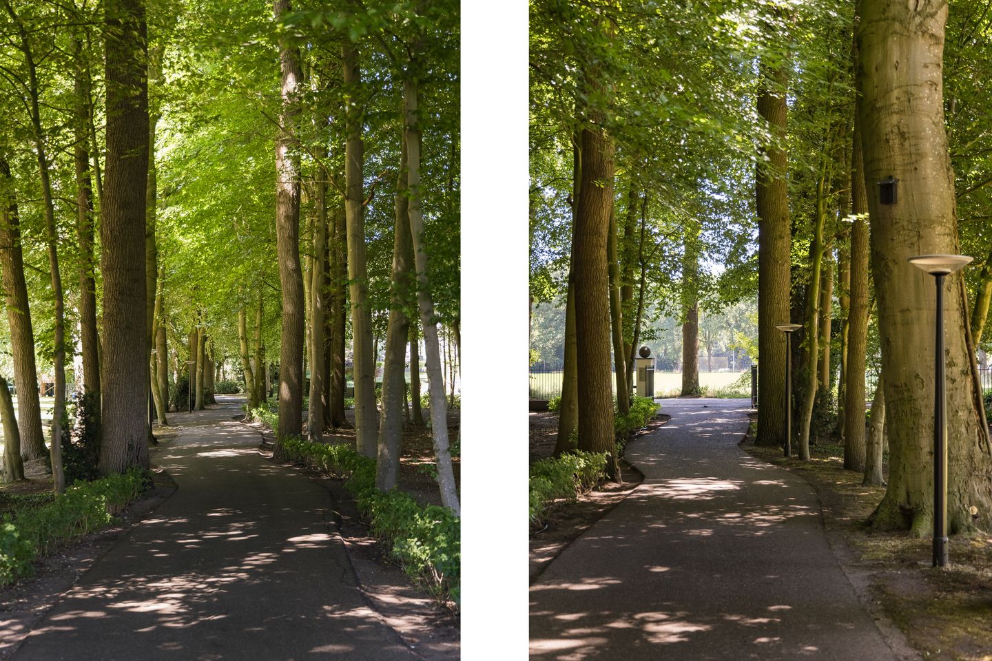 Foto 5 van Weg over de Plaats 4