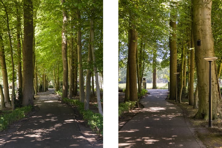 Foto 5 van Weg over de Plaats 4