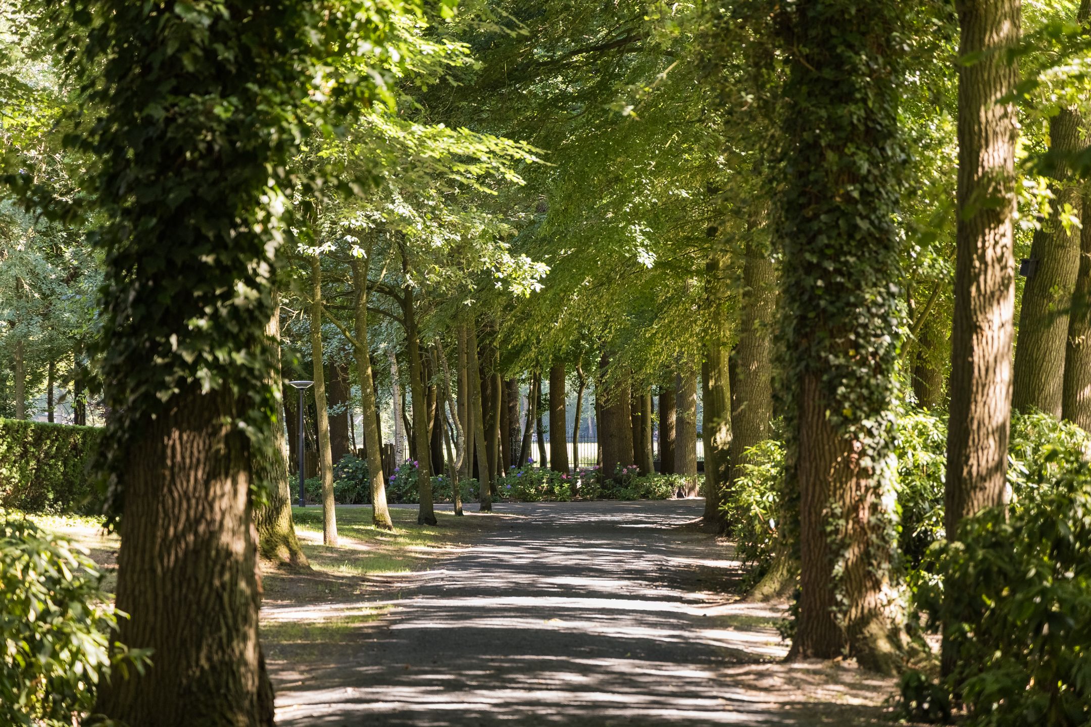 Foto 6 van Weg over de Plaats 4