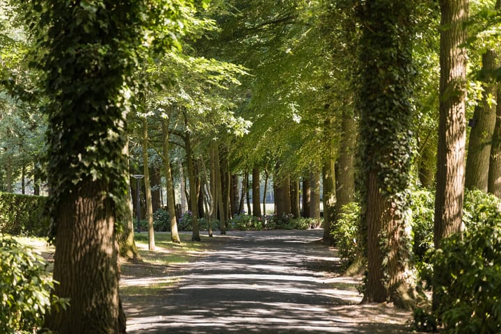 Foto 6 van Weg over de Plaats 4