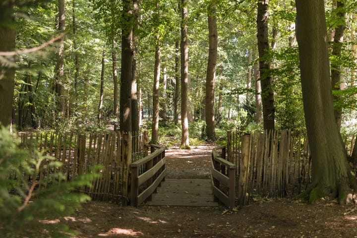 Foto 67 van Weg over de Plaats 4