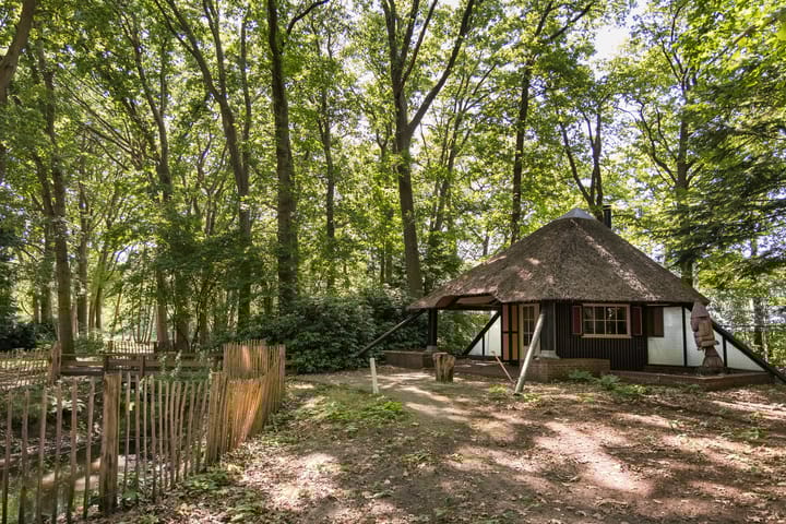 Foto 69 van Weg over de Plaats 4