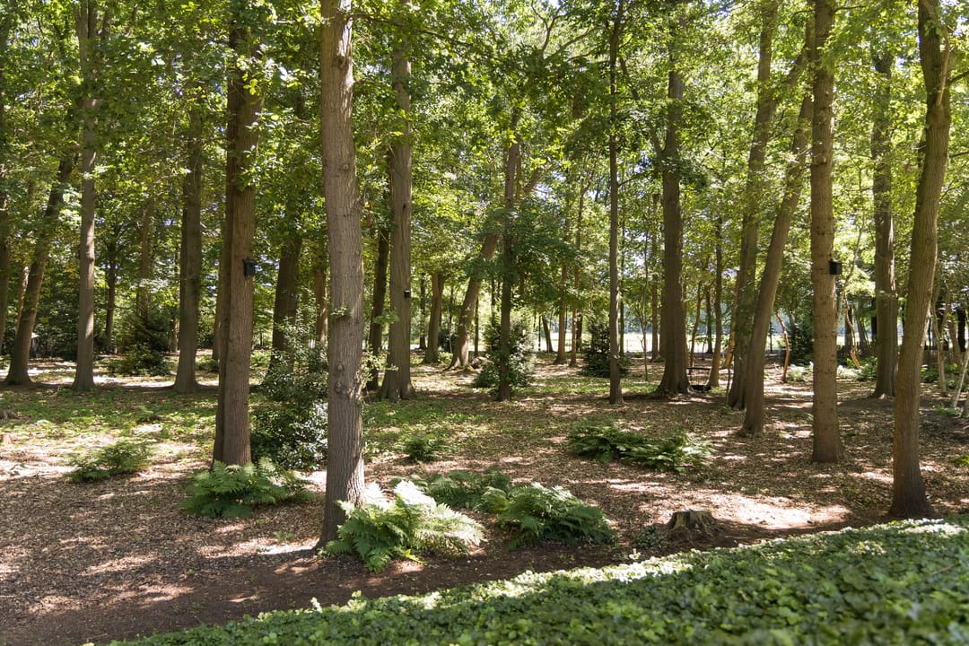 Foto 73 van Weg over de Plaats 4