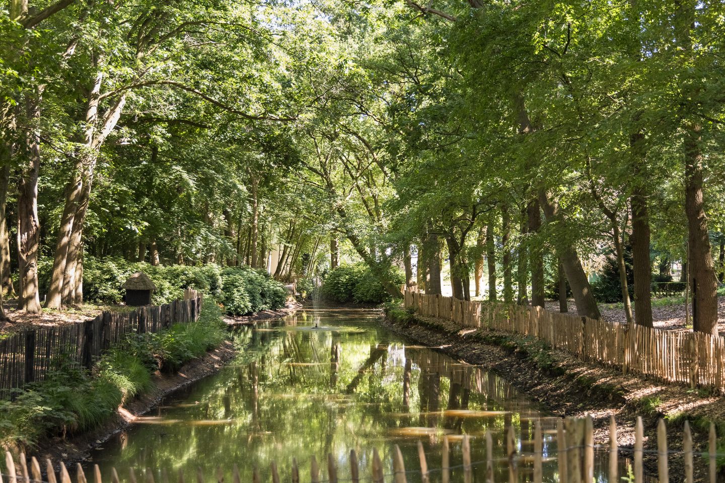 Foto 74 van Weg over de Plaats 4