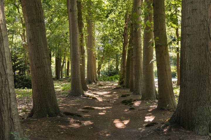 Foto 75 van Weg over de Plaats 4