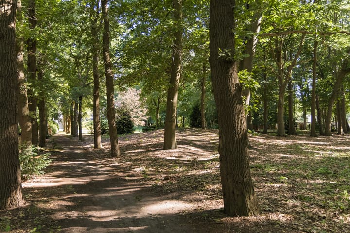 Foto 77 van Weg over de Plaats 4