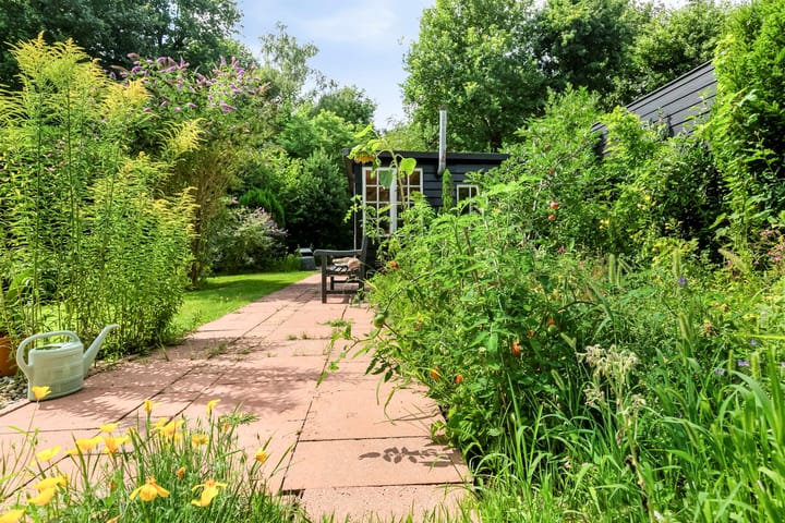 Foto 40 van Balistraat 11