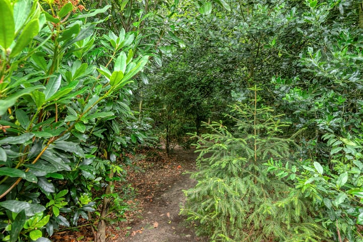 Foto 47 van Balistraat 11