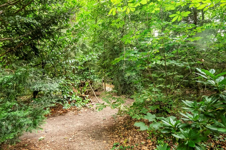 Foto 48 van Balistraat 11