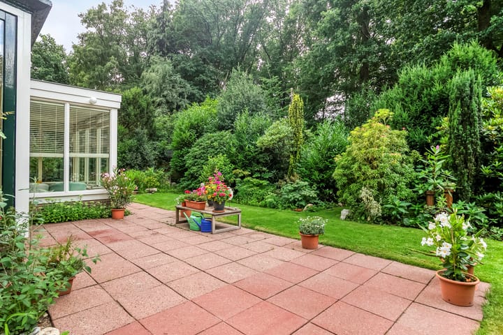 Foto 49 van Balistraat 11