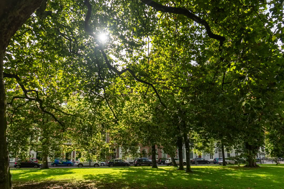 Foto 56 van Huijgenspark 43-C