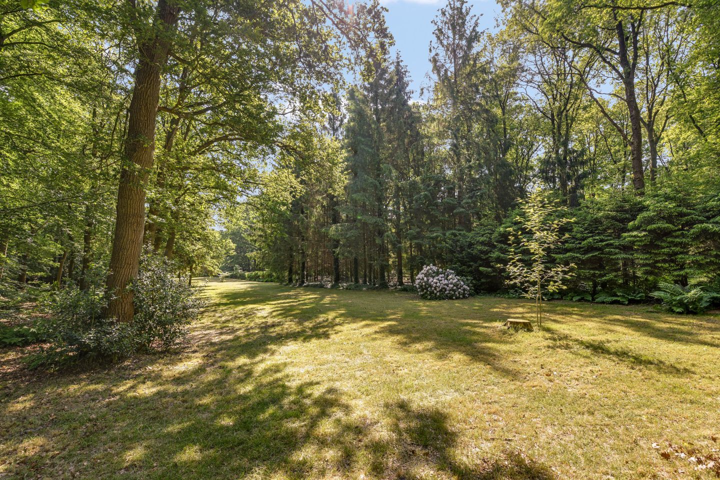 Photo 19 of Veldweg 73