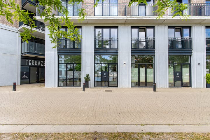 Foto 68 van Hoflaan 221