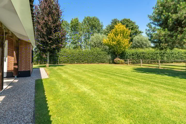 Foto 80 van Michelstraat 9