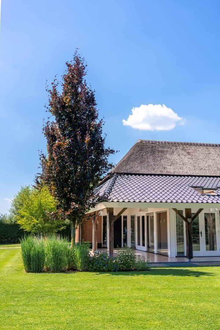 Foto 86 van Michelstraat 9