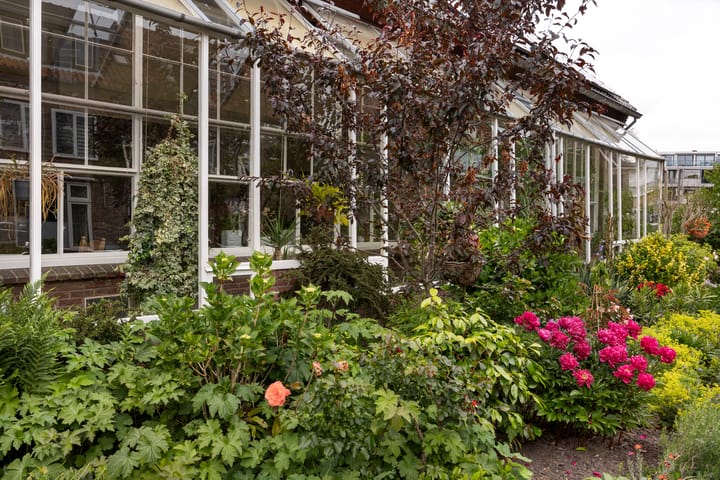 Foto 5 van Antoniusstraat 12