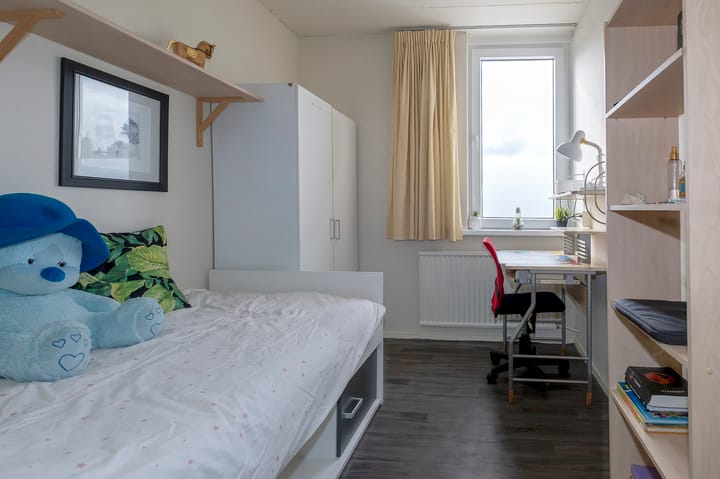 Foto 23 van Lijsterlaan 102