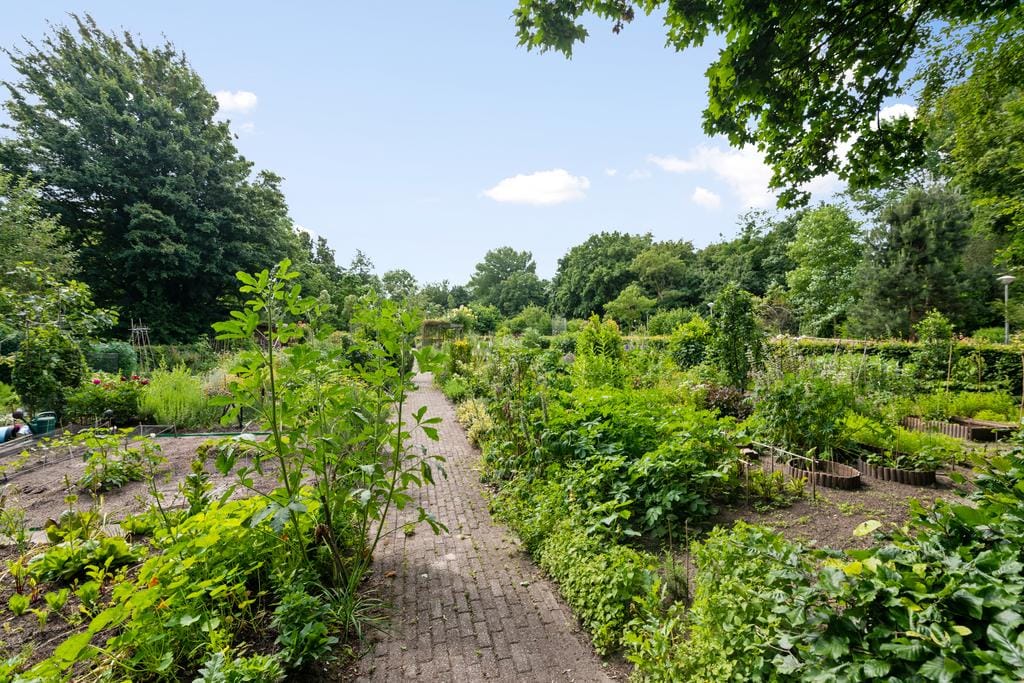 Foto 31 van Liendenhof 59