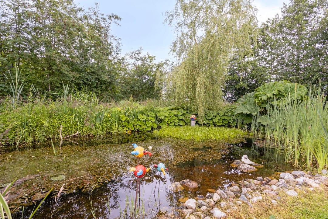 Foto 28 van Aengwirderweg 389