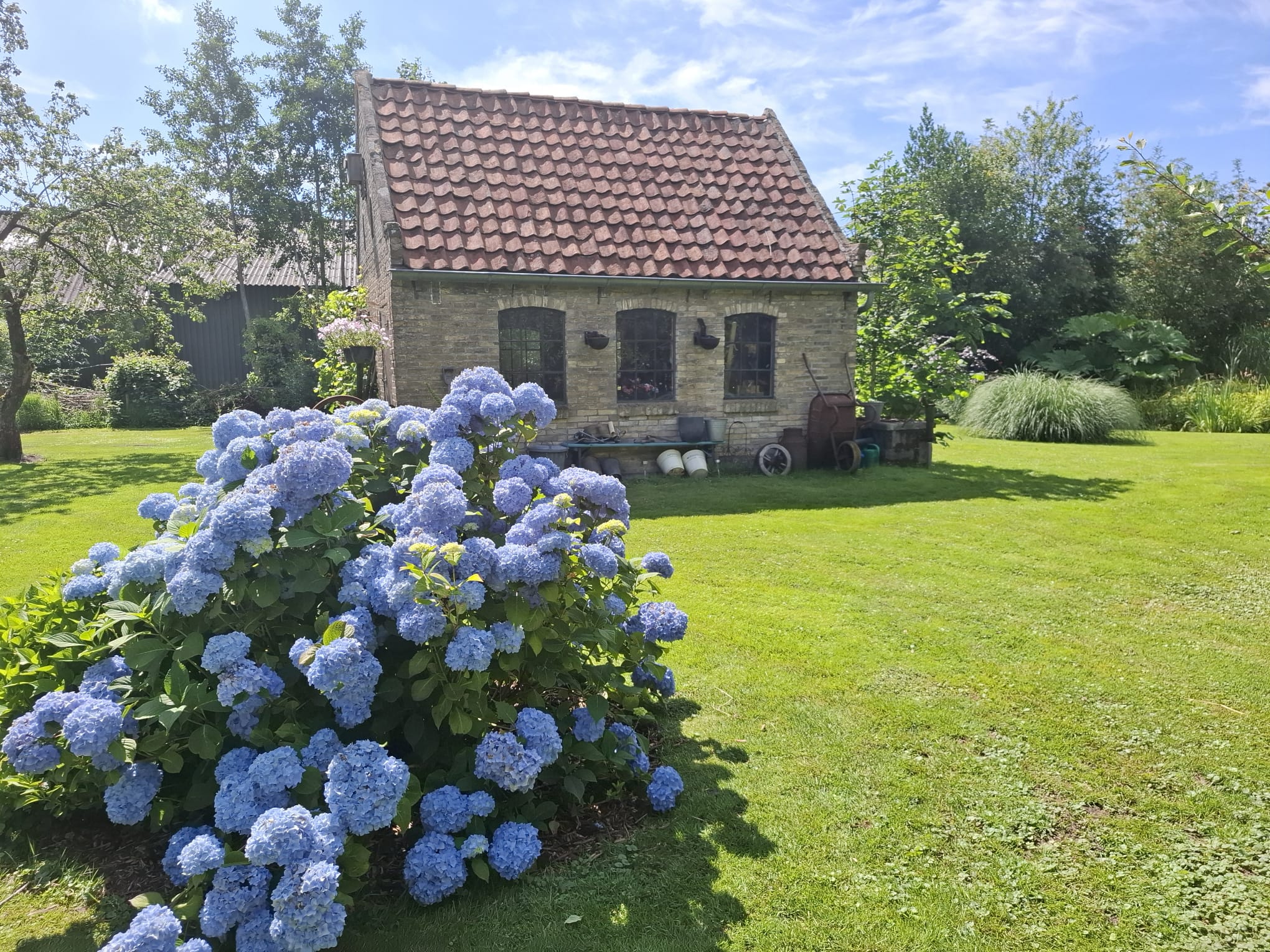 Foto 39 van Aengwirderweg 389