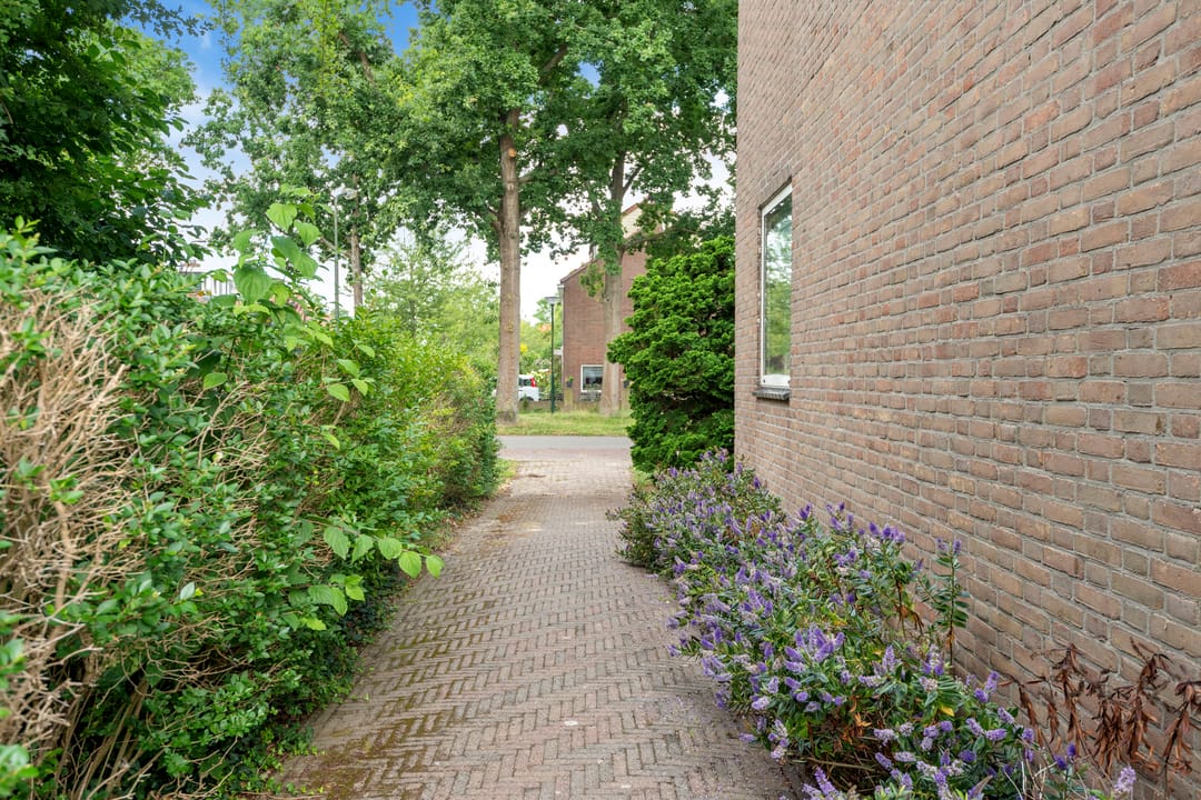 Foto 7 van Breedelaan 125