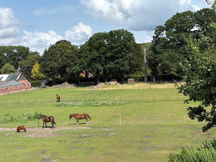 Foto 27 van Schoolstraat 64