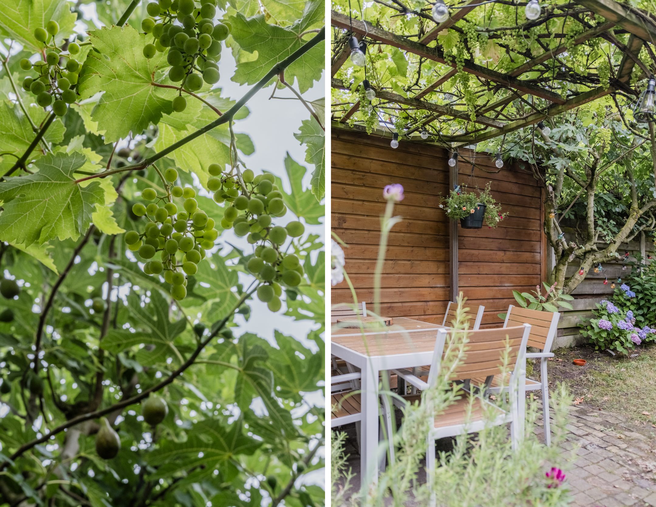 Foto 36 van Runstraat 39