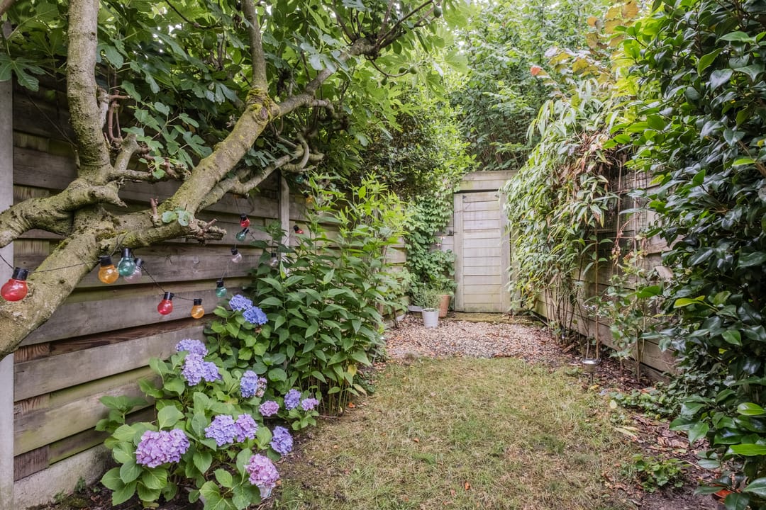 Foto 37 van Runstraat 39