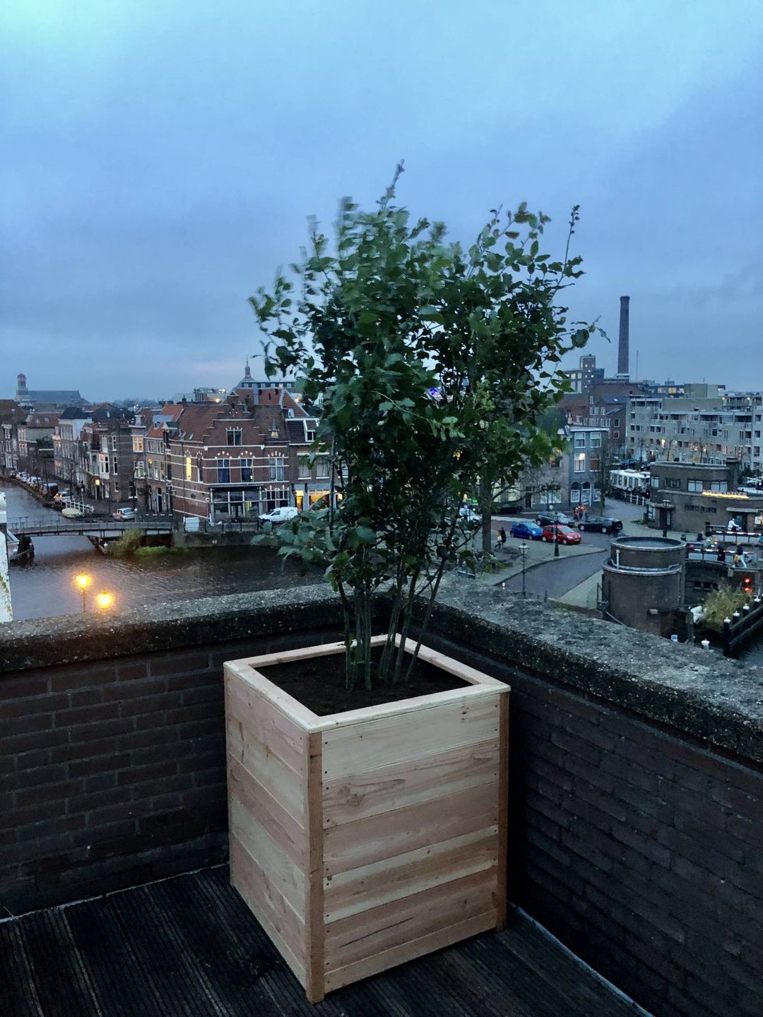 Foto 11 van Touwslagersgang 26