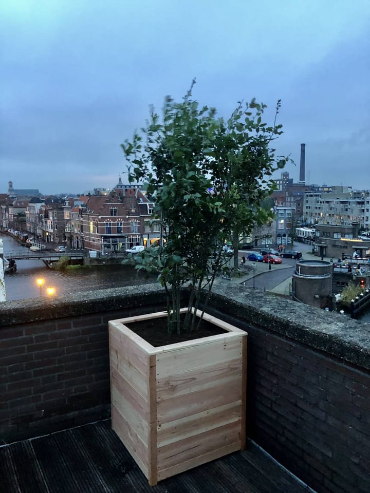 Foto 11 van Touwslagersgang 26