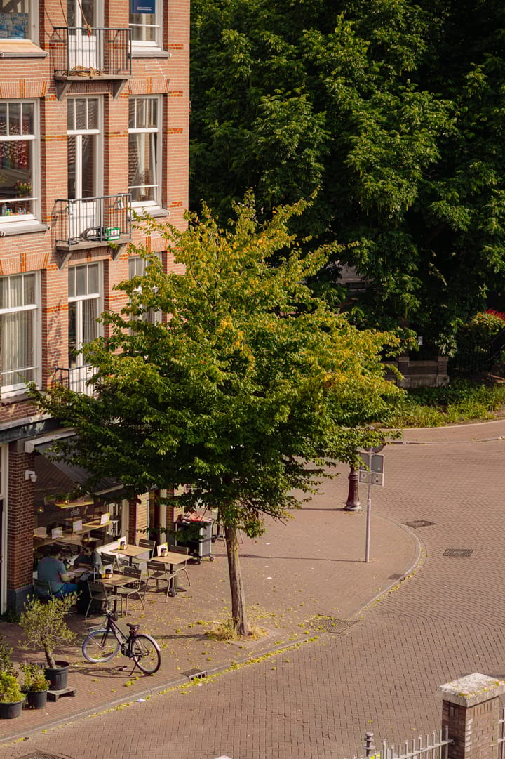 Foto 29 van Bellamystraat 1-2