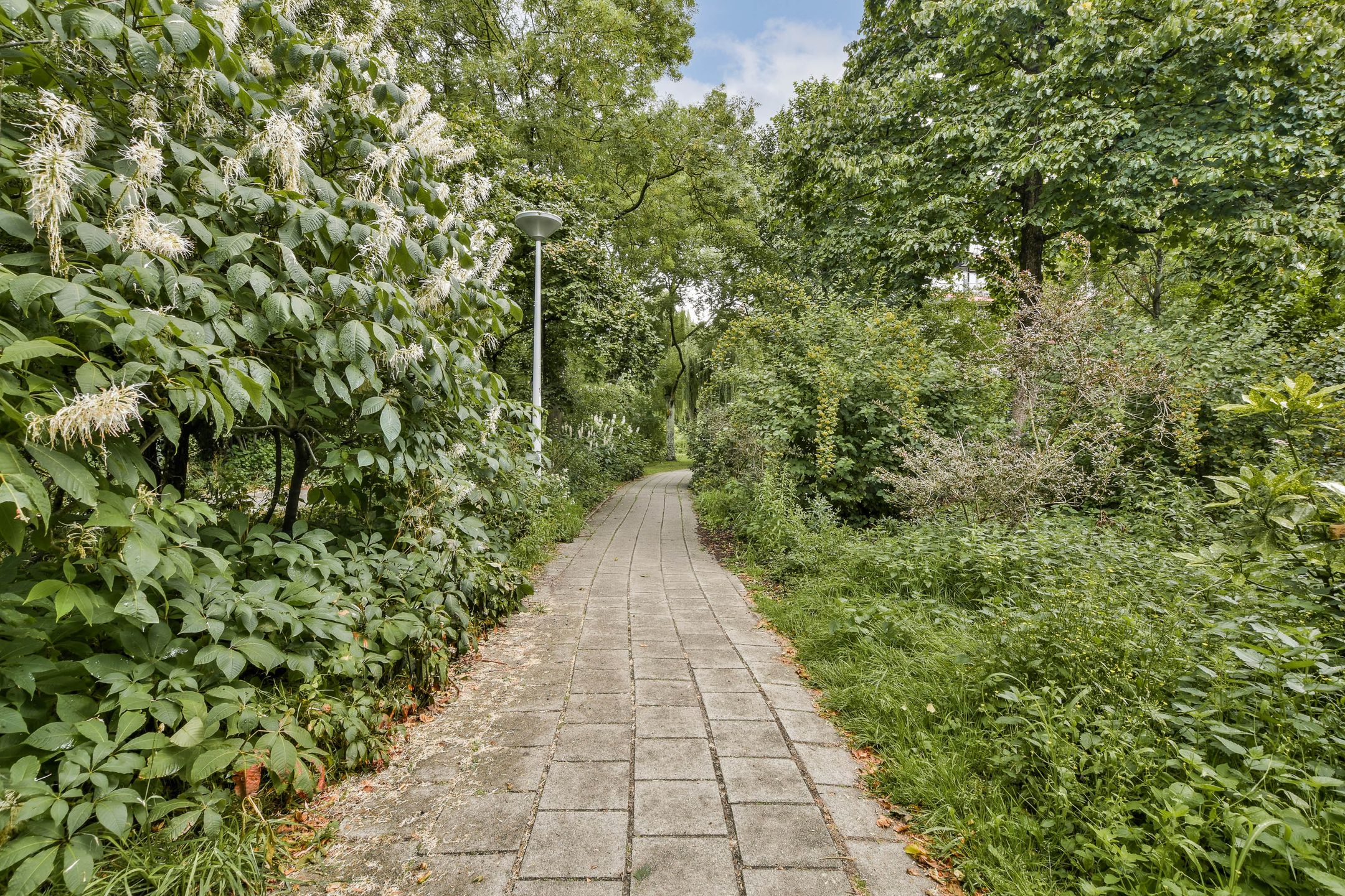 Foto 33 van H. Cleyndertweg 409