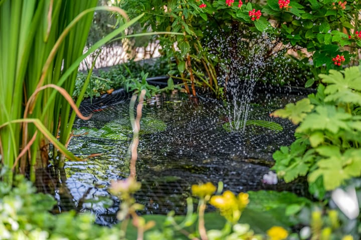 Foto 33 van Vuurdoornstraat 5