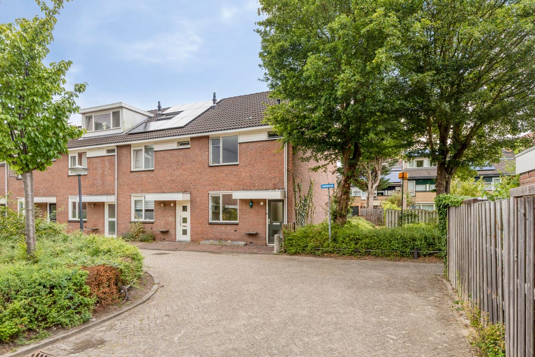 Foto 1 van Zwenkgras 1