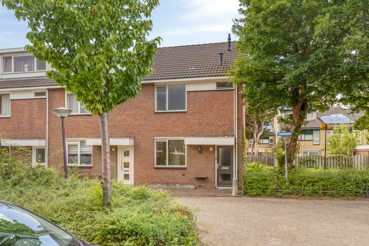 Foto 2 van Zwenkgras 1