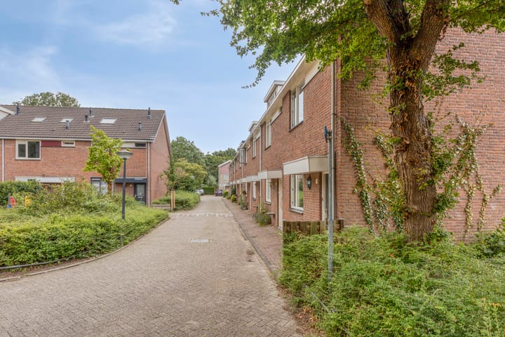 Foto 3 van Zwenkgras 1