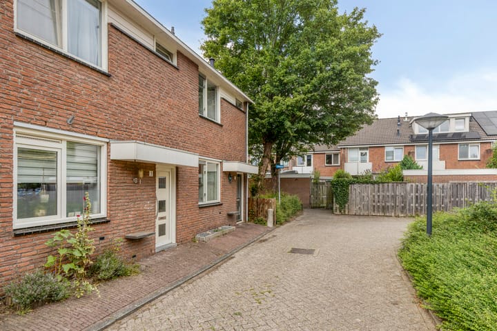 Foto 4 van Zwenkgras 1