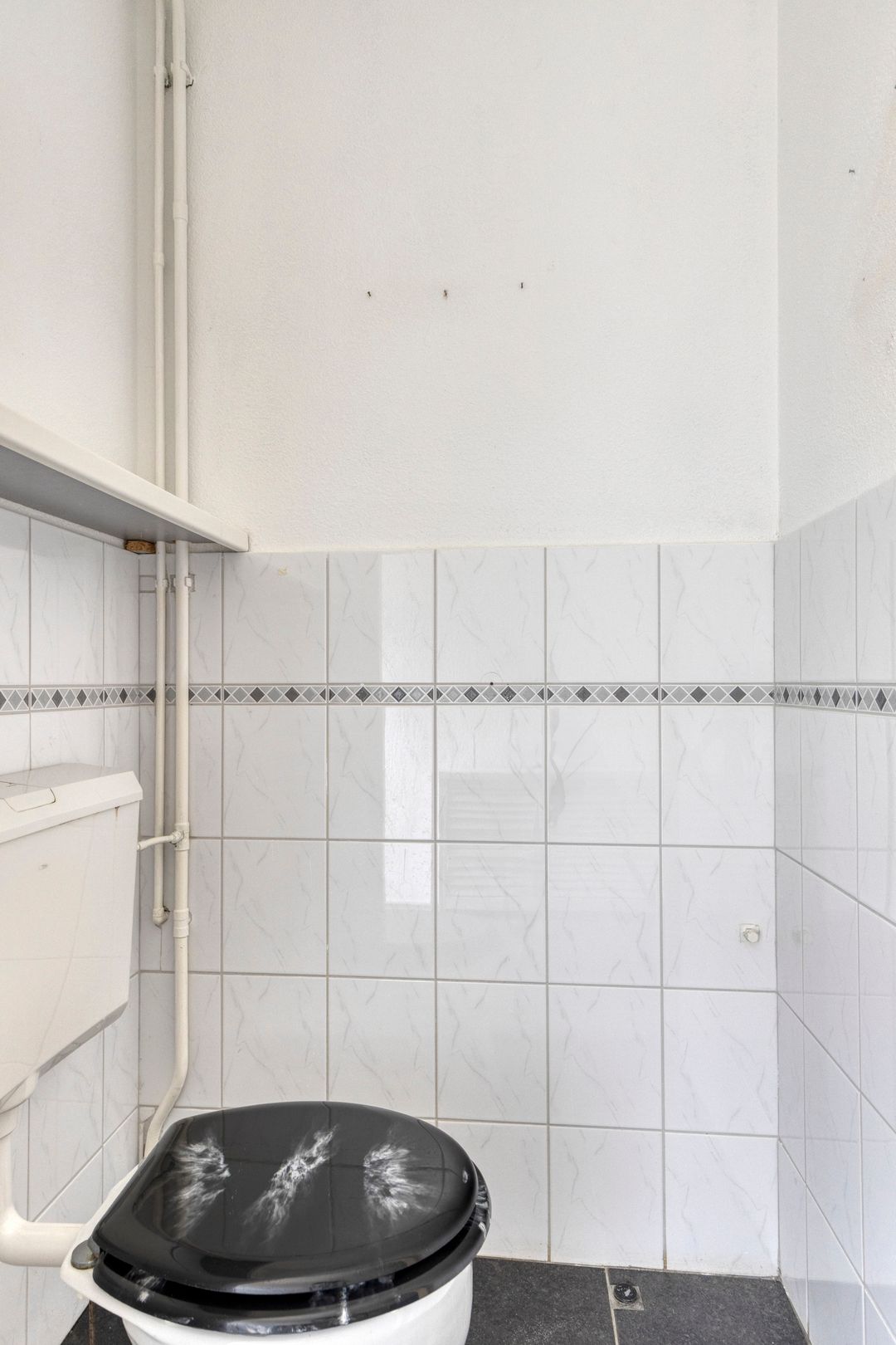 Foto 8 van Zwenkgras 1