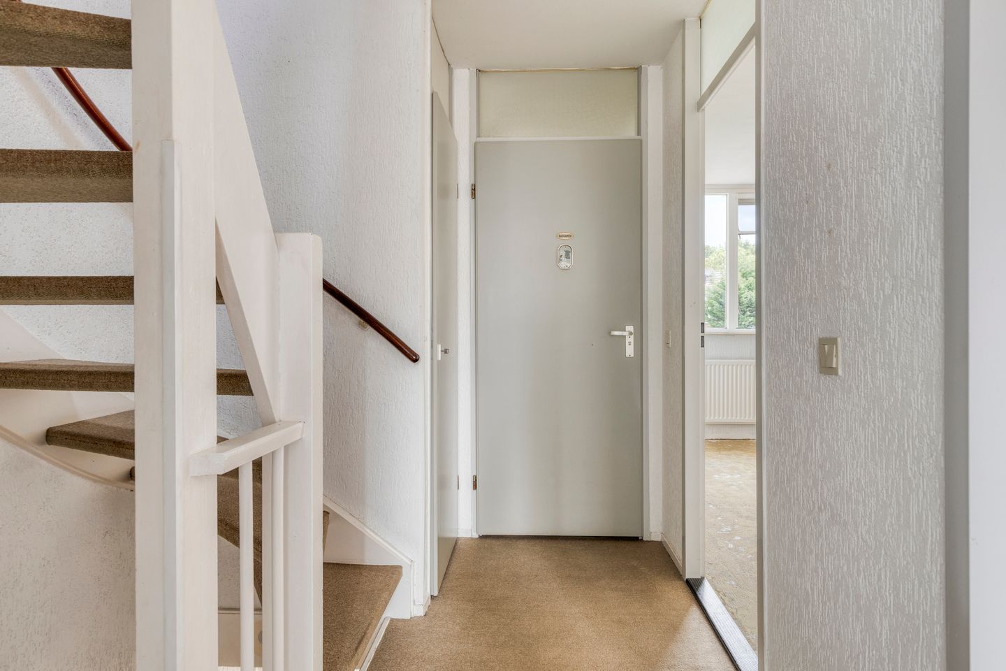 Foto 20 van Zwenkgras 1