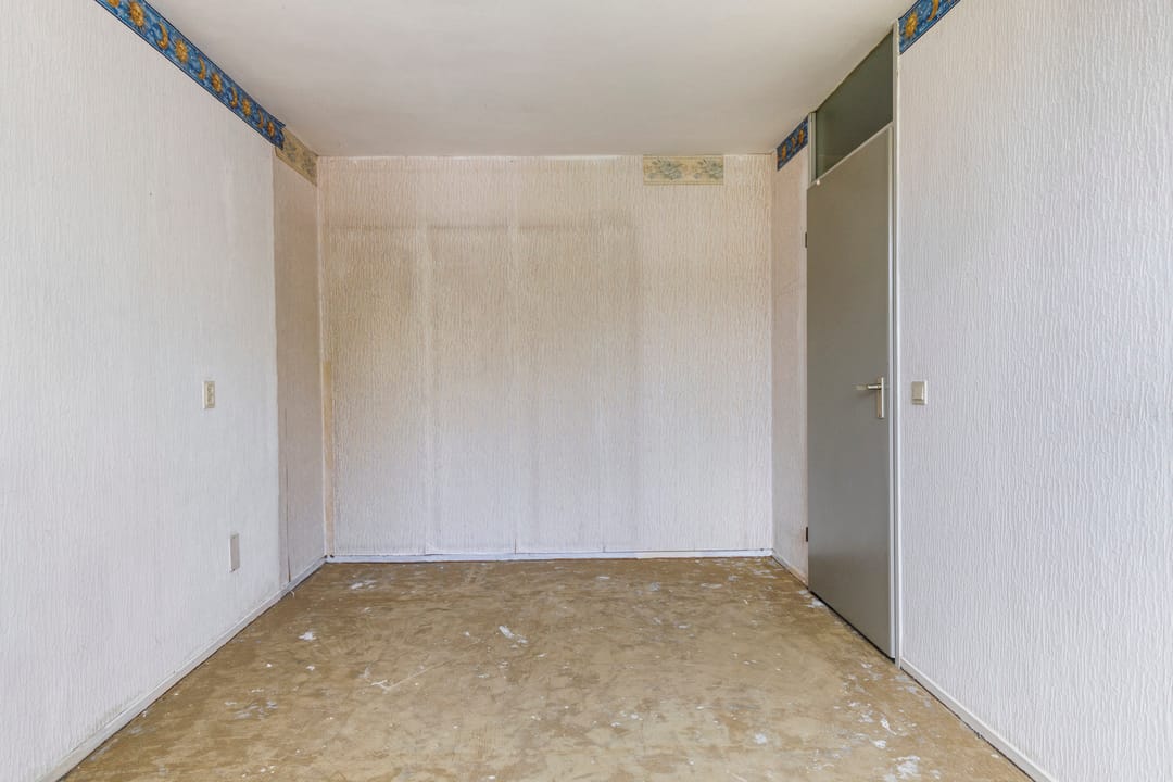 Foto 23 van Zwenkgras 1