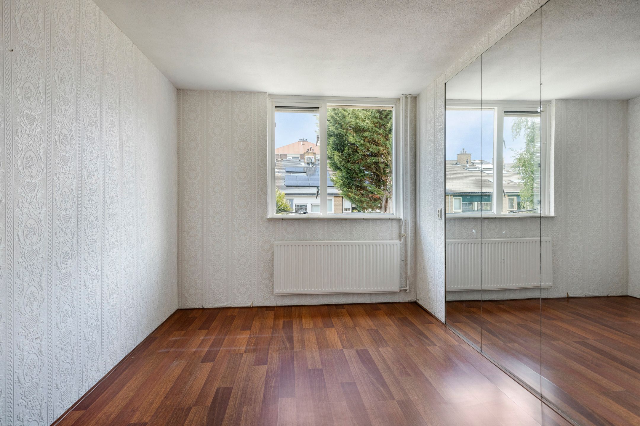 Foto 24 van Zwenkgras 1