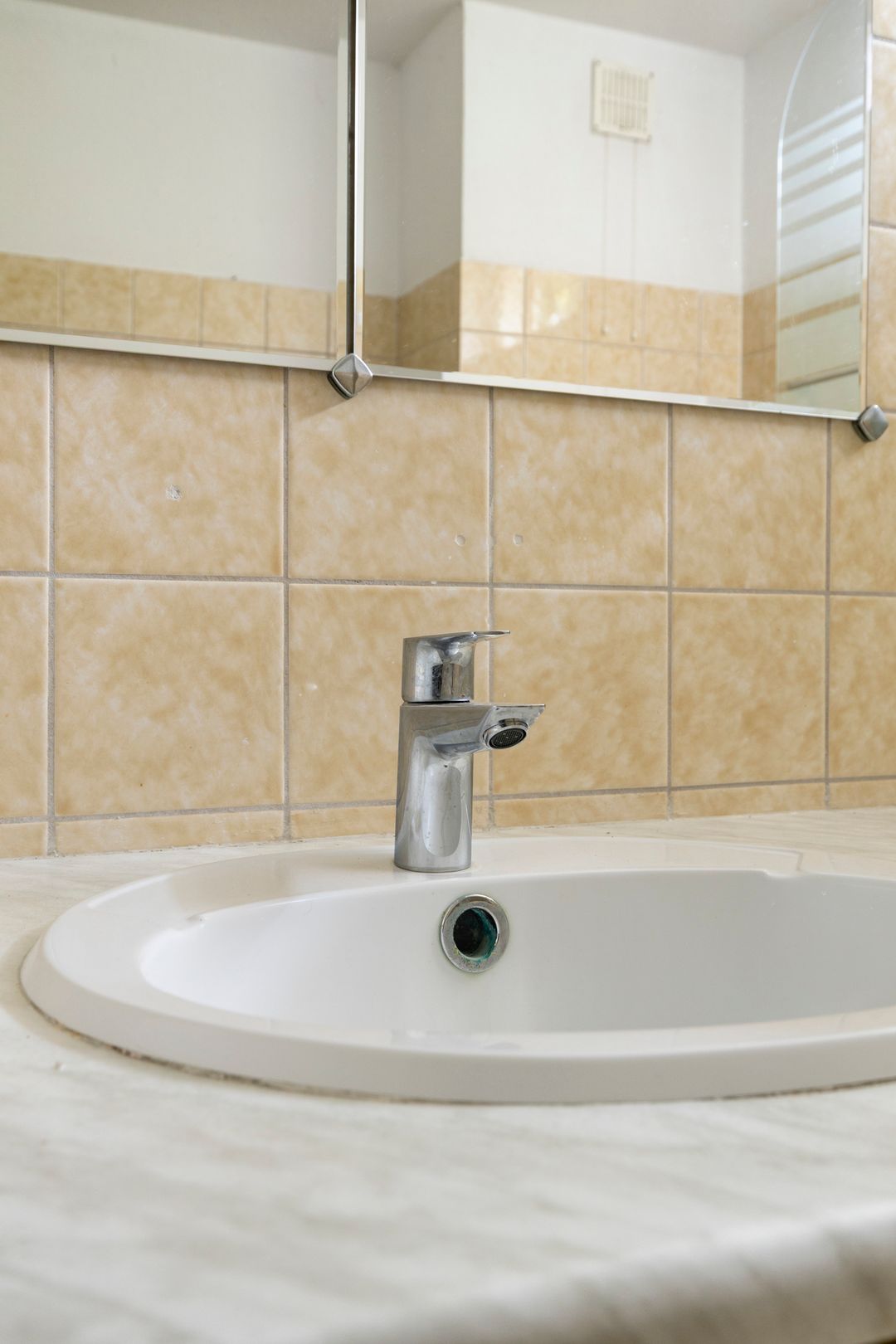 Foto 28 van Zwenkgras 1