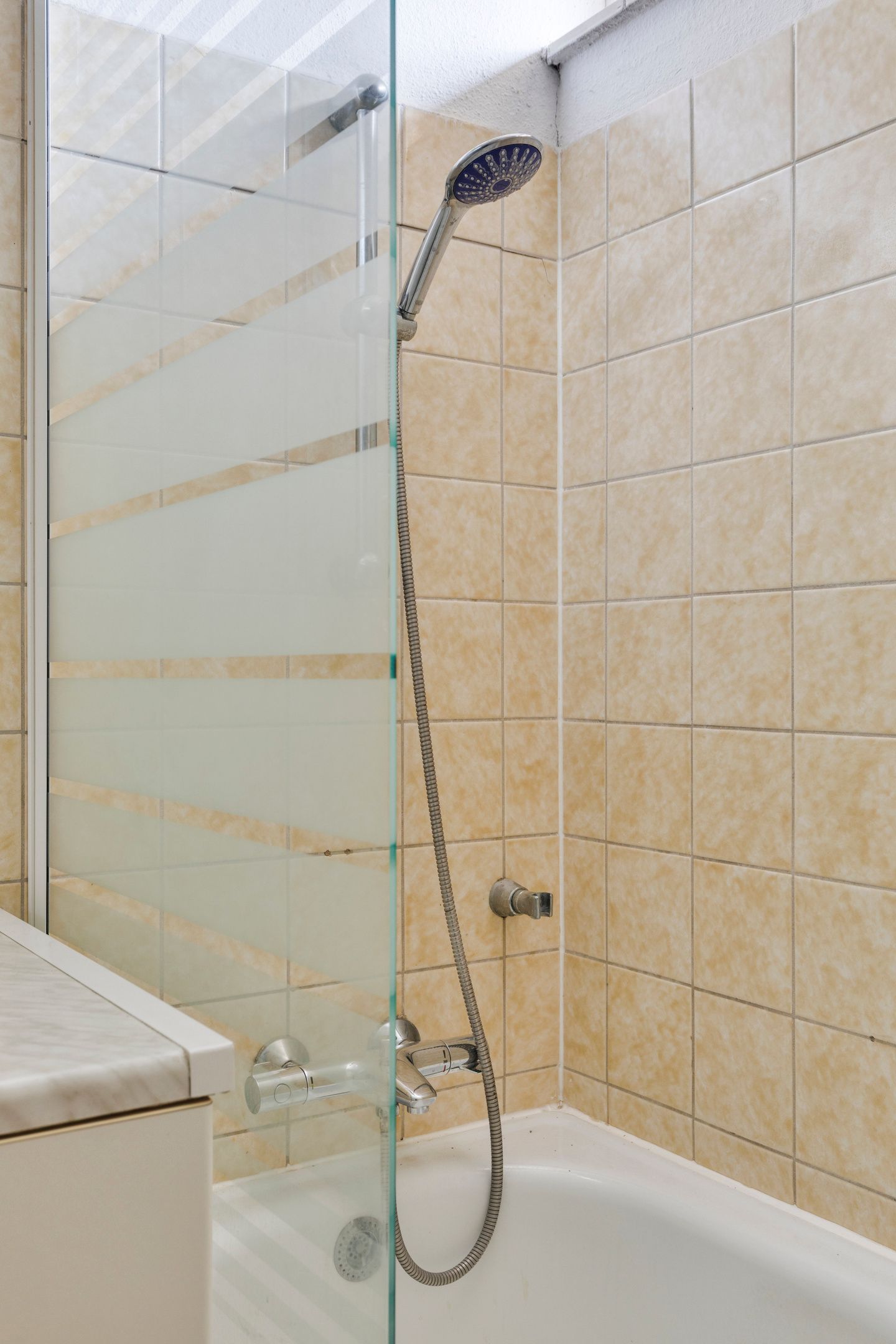 Foto 29 van Zwenkgras 1