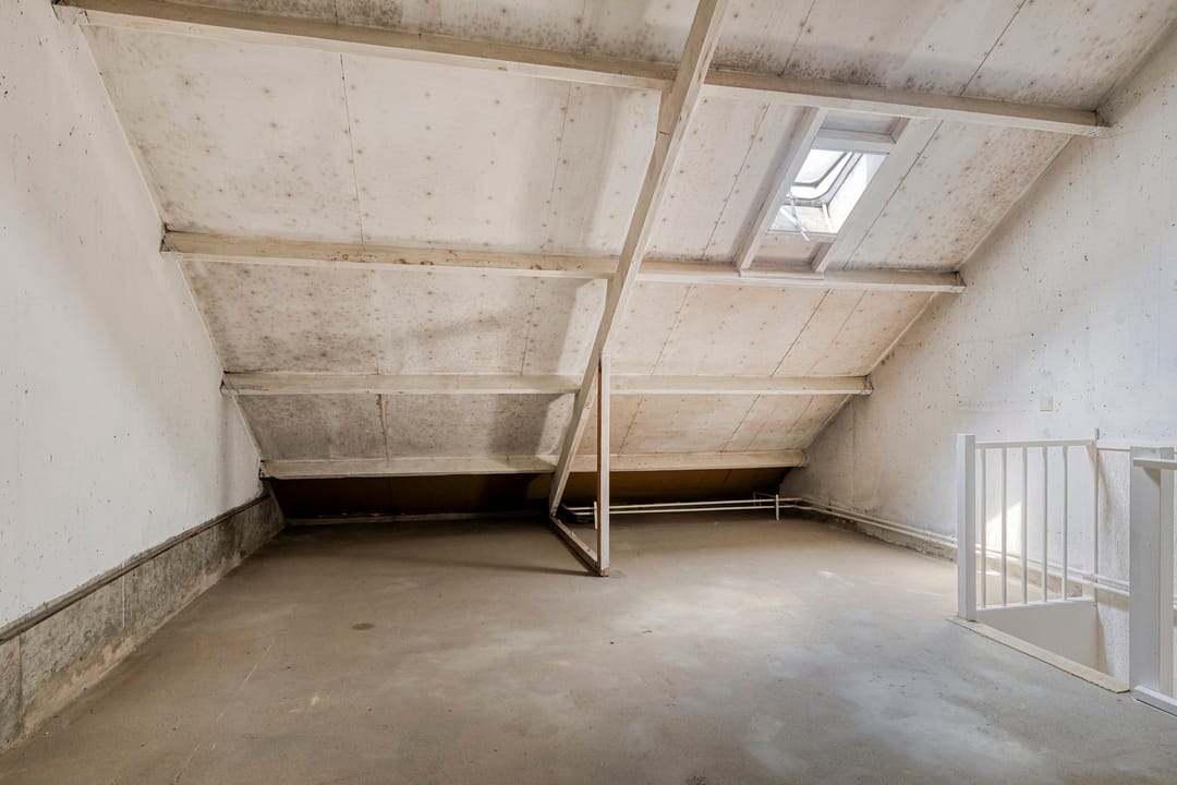 Foto 31 van Zwenkgras 1